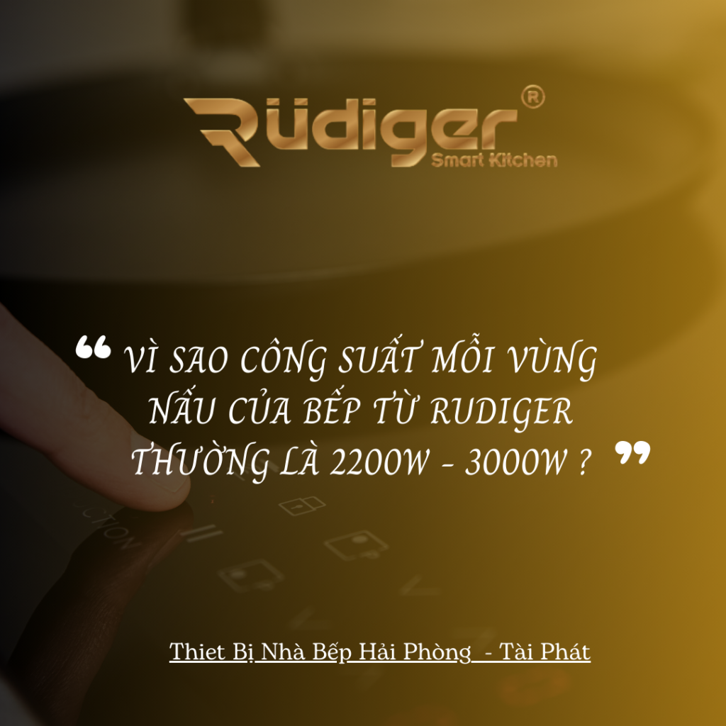 bếp từ Rudiger